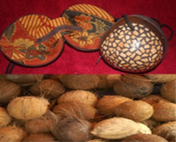 Coconut Craft (artesanias del coco)